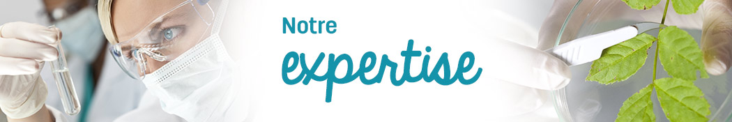 Notre Expertise