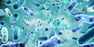Probiotiques, prébiotiques : Faut-il en donner aux bébés et aux enfants ?