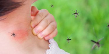 Cet été, les moustiques n’auront pas sa peau ! Nos conseils et astuces au naturel